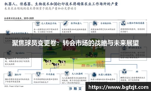 聚焦球员变更卷：转会市场的战略与未来展望
